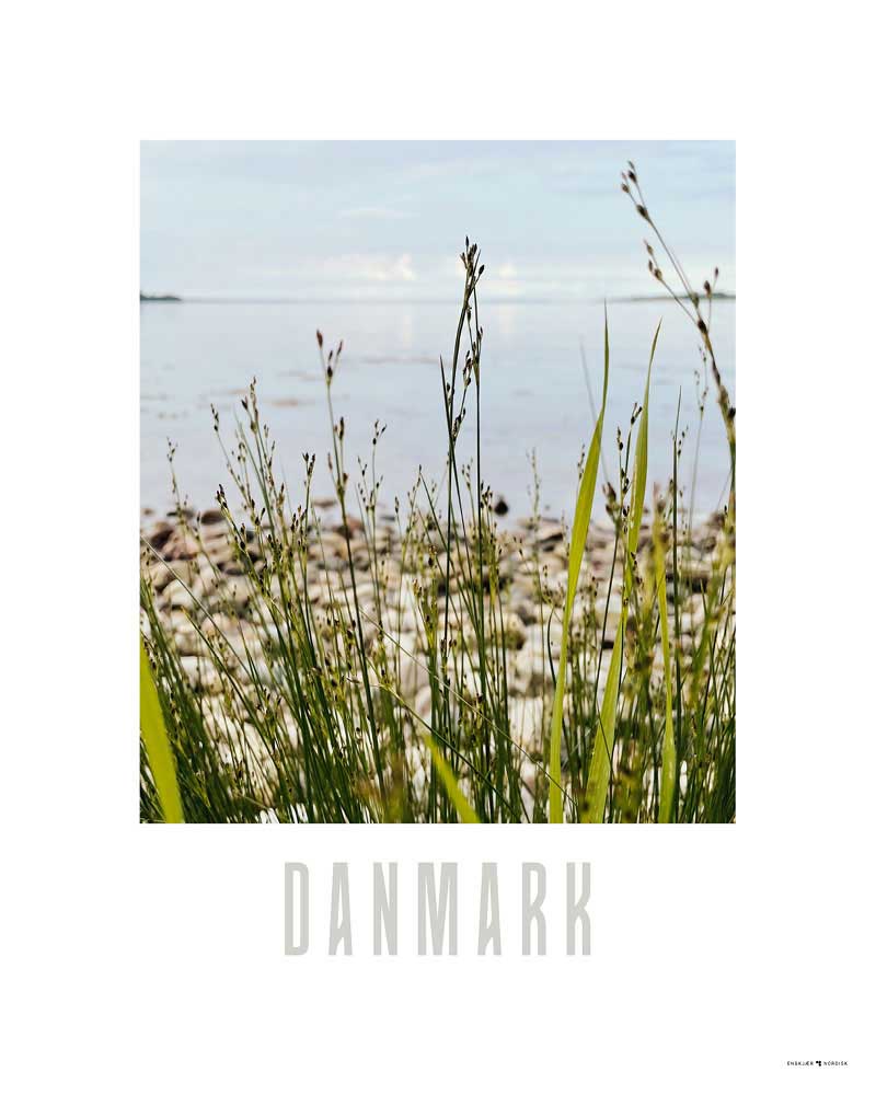 Billede af Danmark, plakat #4