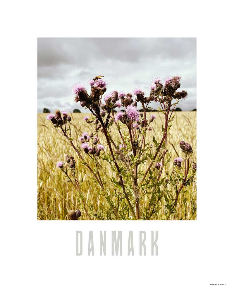 Billede af Danmark, plakat #12