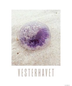 Fotoplakat Vesterhavet