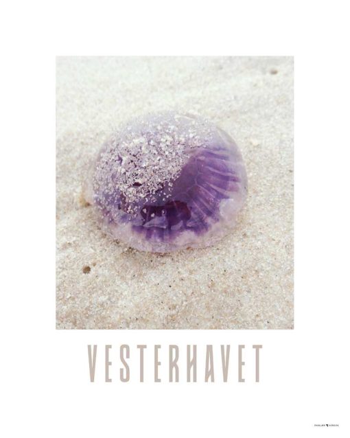 Fotoplakat Vesterhavet